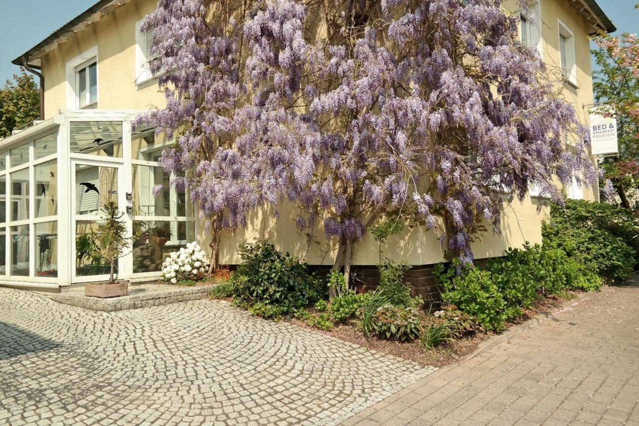 Pension Franzbaecker Warburg Exterior photo